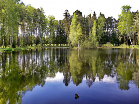В Краснодарском крае создали более 370 особо охраняемых природных территорий